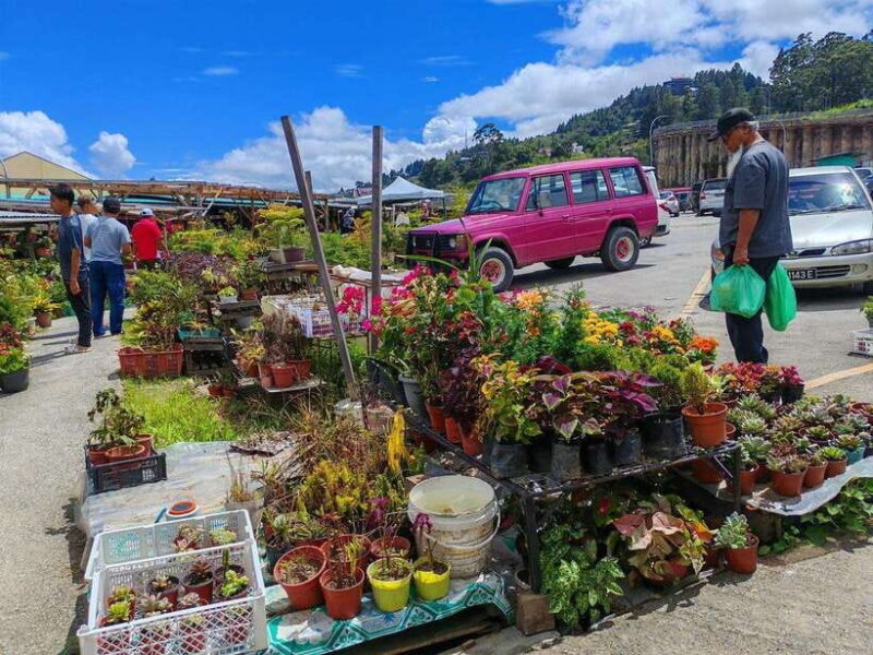Kundasang : ATV Ride, Dairy Farm Visit & Meal Shared Tour - FAQ