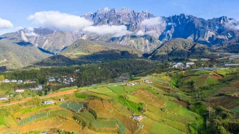 Kundasang: Day Tour with Desa Dairy Farm and Alpaca Club - Experience and Value: Is It Worth It?