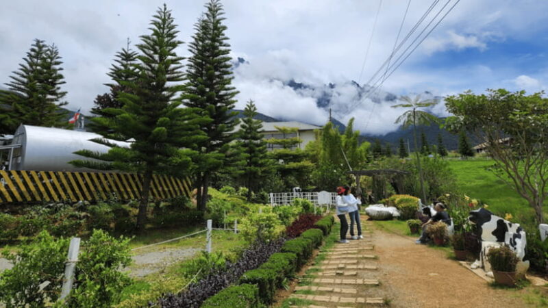 Kundasang: Day Tour with Desa Dairy Farm and Alpaca Club - Practical Tips for Your Day Trip