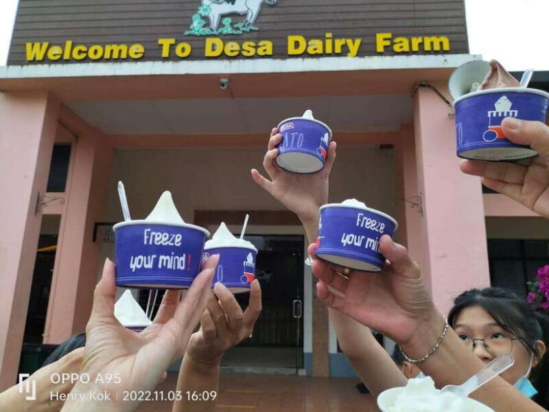Kundasang : Poring Hot Spring + Desa & Meal Shared Tour - The Itinerary Breakdown: What You Can Expect
