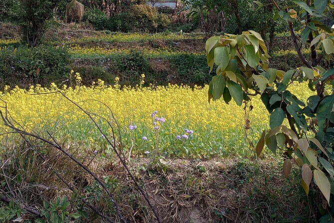 Kunjapuri Yoga Day Hike - Who Is This Tour Best For?