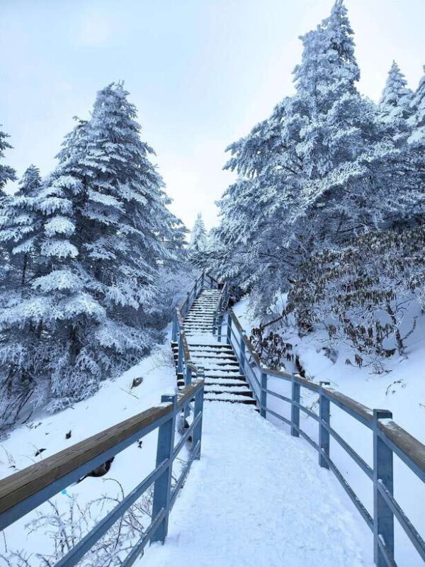 Kunming: Jiaozi Snow Mountain Overnight with Sunrise Hiking - Cultural Encounters with the Yi Minority