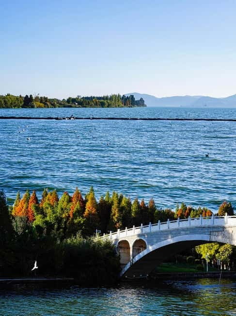 Kunming: Stone Forest and Dianchi Lake Day Trip with Lunch - Key Points