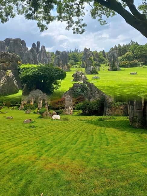 Kunming: Stone Forest and Dianchi Lake Day Trip with Lunch - An In-Depth Look at the Itinerary