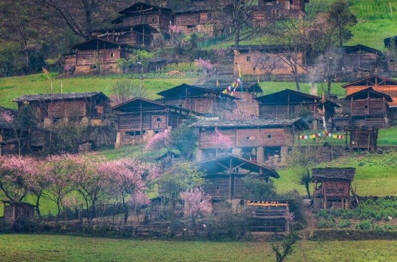 Kunming: Stone Forest & Chengzi Ancient Village Private Tour - A Close Look at the Itinerary and Experience