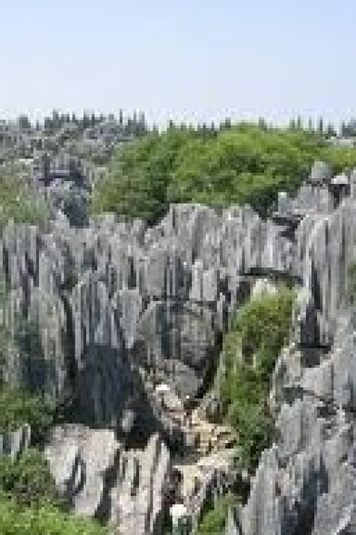 Kunming: Stone Forest Private Day Tour - Starting Point: Your Hotel in Kunming