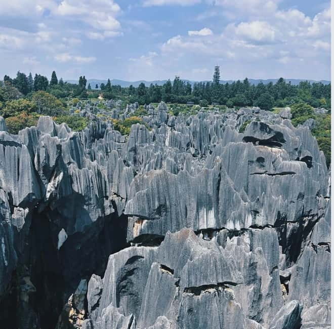 Kunming: Stone Forest, Roast Duck Lunch and City Tour - Exploring the Stone Forest: Natural Marvel and Cultural Treasure