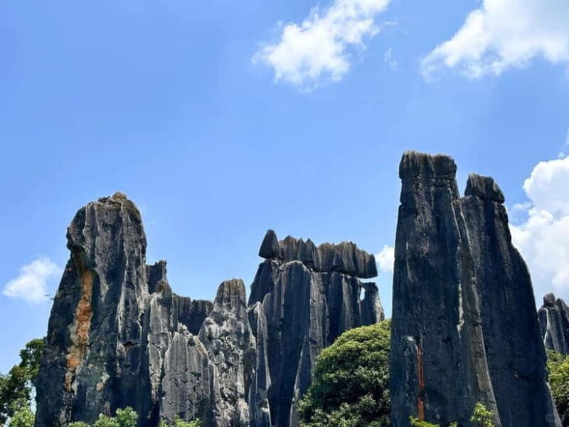 Kunming: Stone Forest, Roast Duck Lunch and City Tour - Customizing Your Kunming City Tour