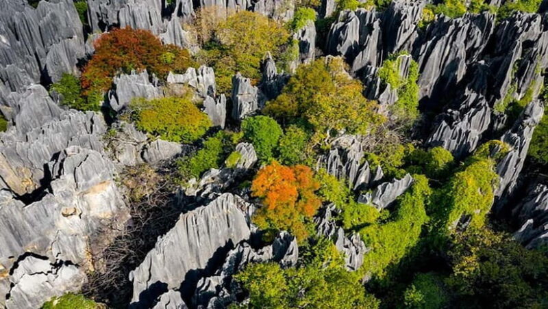 Kunming: Stone Forest, Roast Duck Lunch and City Tour - FAQs