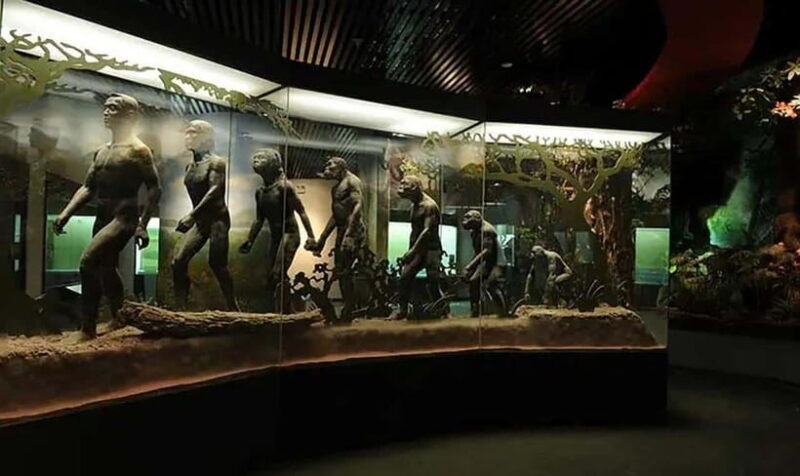 Kunming: Yunnan Provincial Museum Private Tour (Half Day) - Why Choose the Yunnan Provincial Museum Tour?