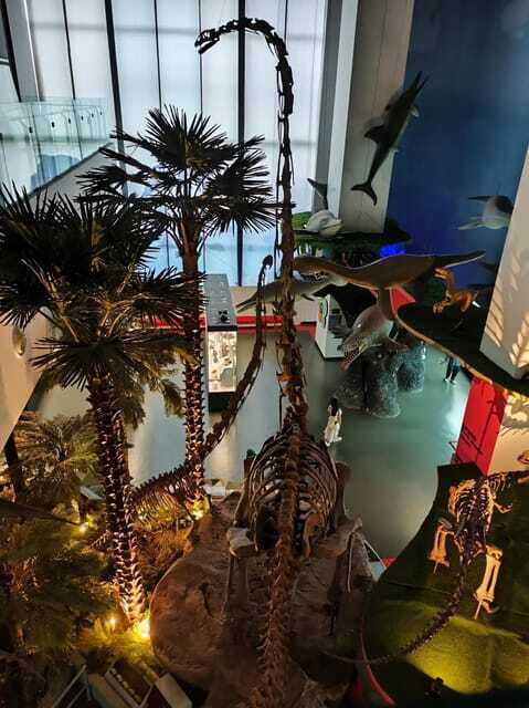 Kunming: Yunnan Provincial Museum Private Tour (Half Day) - Pricing and Value