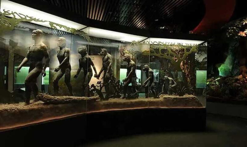 Kunming: Yunnan Provincial Museum Private Tour (Half Day) - FAQ
