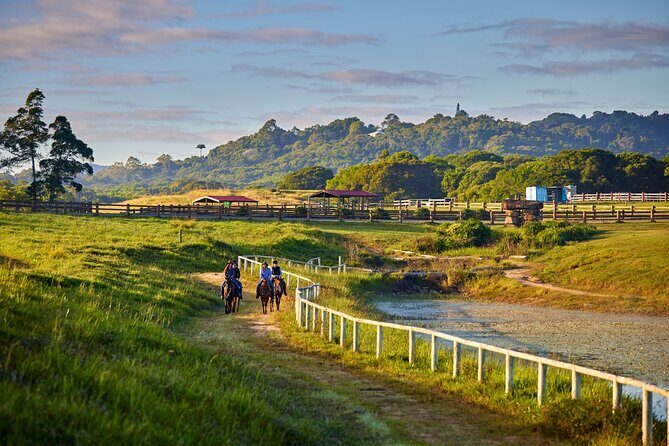 Kuranda 60 minute Horse Trail Ride and Petting Farm - A Closer Look at the Itinerary
