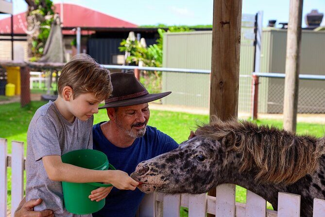 Kuranda 60 minute Horse Trail Ride and Petting Farm - The Experience Provider and Practicalities