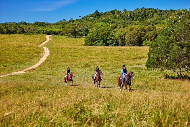 Kuranda 60 minute Horse Trail Ride and Petting Farm - Final Thoughts: Is It Worth It?