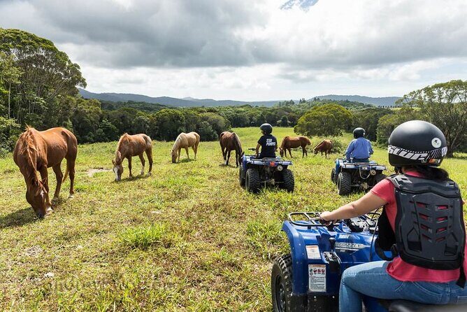 Kuranda 60 minute Quad Bike Experience and Petting Farm - FAQ