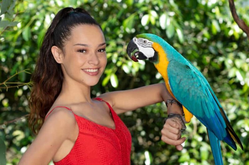 Kuranda: Birdworld Entry Ticket - An In-Depth Look at Birdworld Kuranda