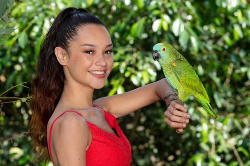Kuranda: Birdworld Entry Ticket - Who Should Consider Visiting Birdworld Kuranda?