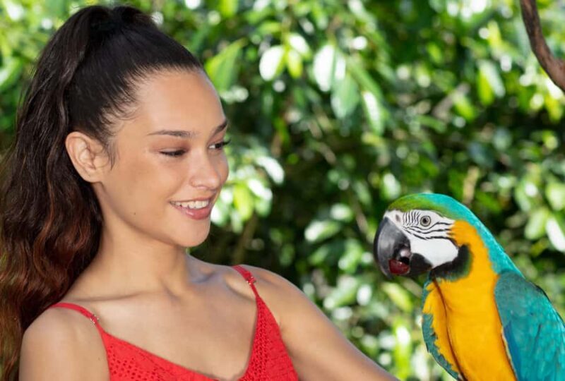 Kuranda by Design, a VIP package experience - Starting Bright and Early at Birdworld Kuranda