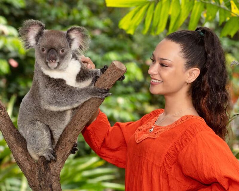 Kuranda by Design, a VIP package experience - Additional Wildlife Encounters