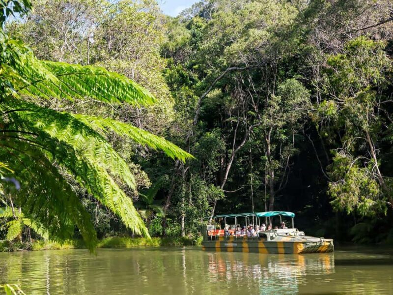 Kuranda, Cairns & Port Douglas Multi-Park Package - An In-Depth Look at the Parks