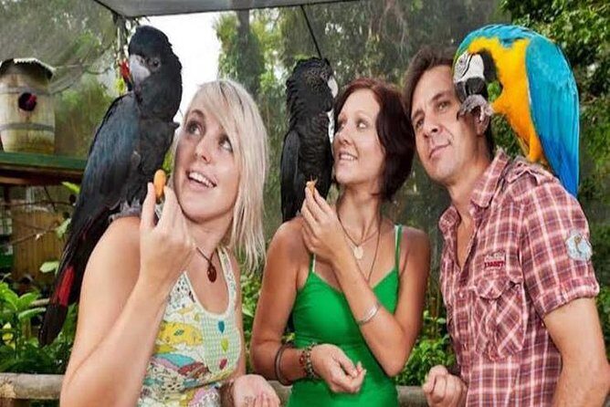 Kuranda Day Tour, TKS-3 Wildlife Gold 930 - Detailed Review of the Kuranda Day Tour, TKS-3 Wildlife Gold 930