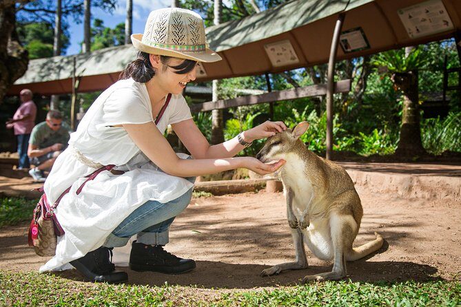 Kuranda Day Tour, TKS-RFS CLASSIC GOLD PLUS 0930 - Final Thoughts
