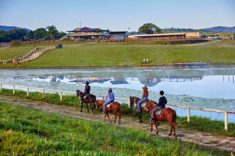 Kuranda Half Day with Petting Zoo & Horse Trail Ride Tour - Key Points