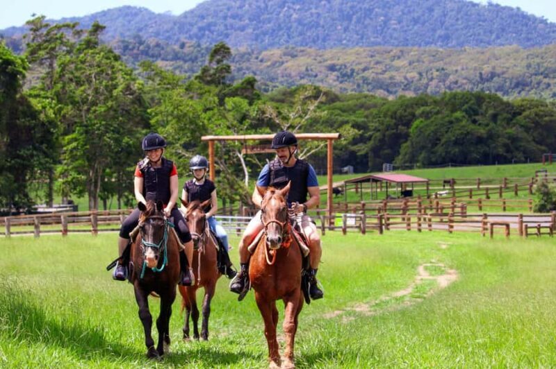 Kuranda Half Day with Petting Zoo & Horse Trail Ride Tour - The Morning Pickup and Journey to the Farm
