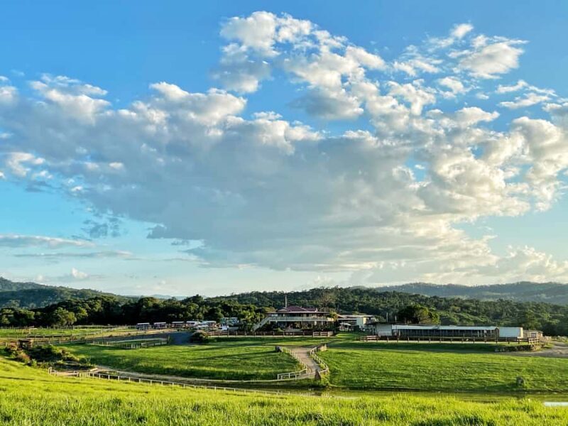 Kuranda Half Day with Petting Zoo & Horse Trail Ride Tour - The Guided Horse Ride: A Gentle Introduction to Farm Life
