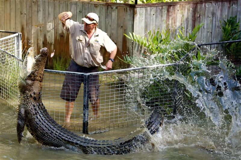Kuranda & Hartley's Crocodile Adventures - Overview of the Experience