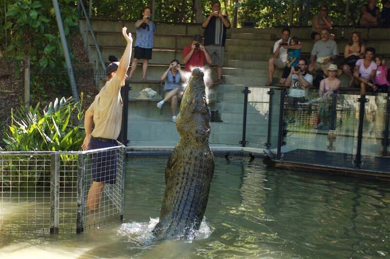Kuranda & Hartley's Crocodile Adventures - Who Is This Tour Best For?