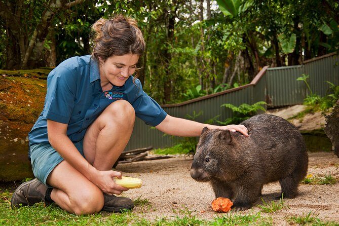 Kuranda Koala Gardens General Entry Ticket - Key Points