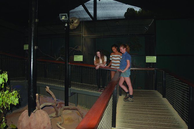 Kuranda Koala Gardens General Entry Ticket - What You Can Expect in Practice