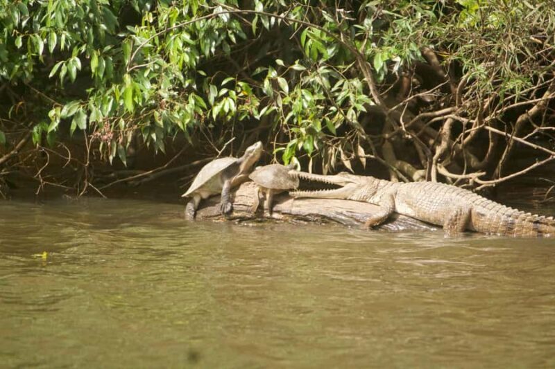 Kuranda: Riverboat Tour - FAQ