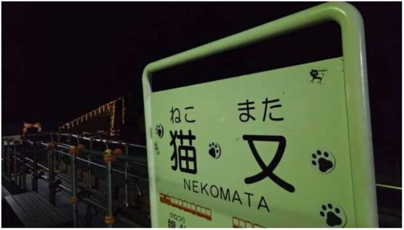 Kurobe Gorge: Night Train Tour with Stargazing - What Makes This Tour Special