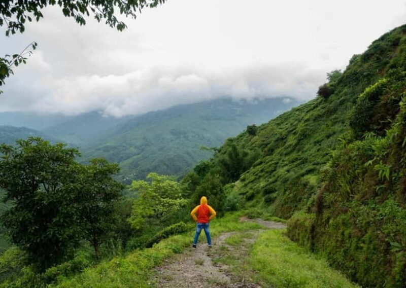 Kurseong: White Orchid Trail Hike with Hotel Pickup - The Itinerary: A Step-by-Step Journey Through Kurseong’s Green Heart