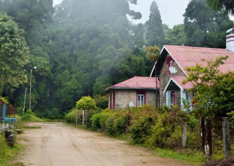 Kurseong: White Orchid Trail Hike with Hotel Pickup - What Travelers Say