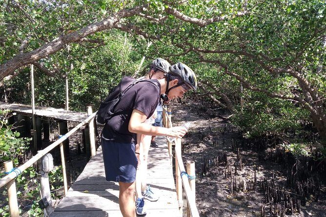 Kuta Beach eBike Private Tour - Who Should Consider This Tour?