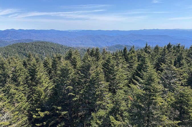 Kuwohi Mountain Great Smoky Mountains Tour - Final Thoughts on the Experience