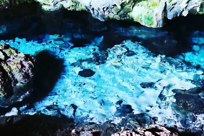 Kuza Cave, Blue Lagoon, Starfish Adventure, The Rock, Stone Town, Secret Garden - Who This Tour Is Perfect For