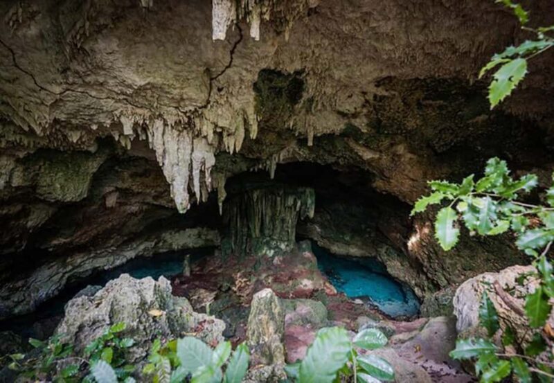 Kuza Cave Tour - Introduction: Why Kuza Cave Deserves a Spot on Your Zanzibar Bucket List
