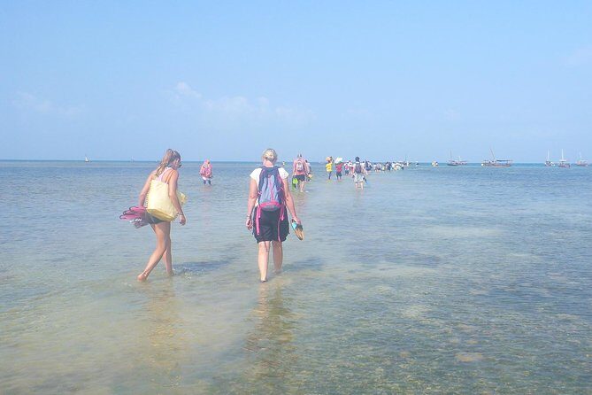 Kwale Island Dhow Sailing Tour from Zanzibar with Seafood Lunch - A Detailed Look at the Tour