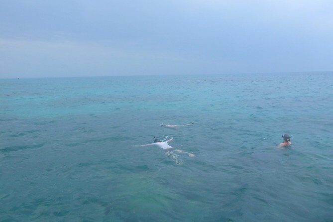 Kwale Island Dhow Sailing Tour from Zanzibar with Seafood Lunch - The Sum Up