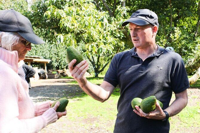 Kwizine Foodie Tour In Western Bay Of Plenty - FAQ