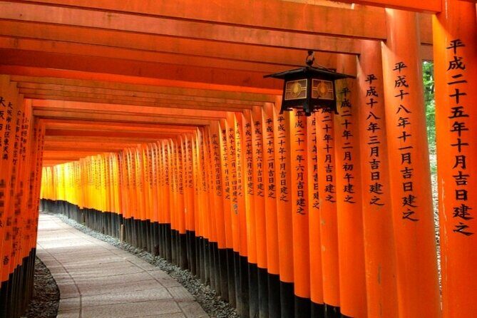 Kyoto 1 Day Golden Route Bus Tour - The Experience’s Strengths and Possible Limitations