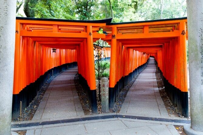 Kyoto 1 Day Golden Route Bus Tour - Who Is This Tour Best For?