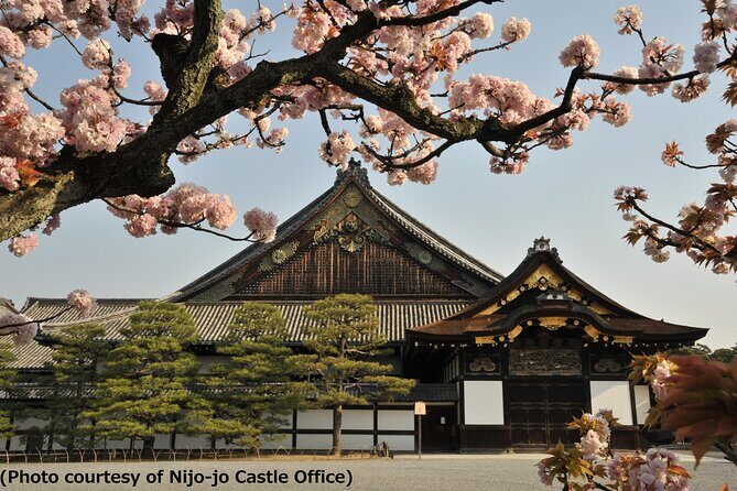 Kyoto 1 Day Tour - Golden Pavilion and Kiyomizu Temple from Osaka - Key Points