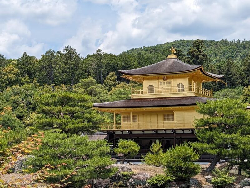 Kyoto: 100% Private Custom Walking Tour (4/8 Hrs) - An Introduction to the Experience