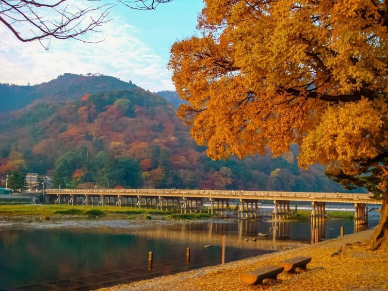 Kyoto: 2-Hour Guided Tour of Arashiyama's Autumn Leaves - Why Consider a Guided Tour of Arashiyama?